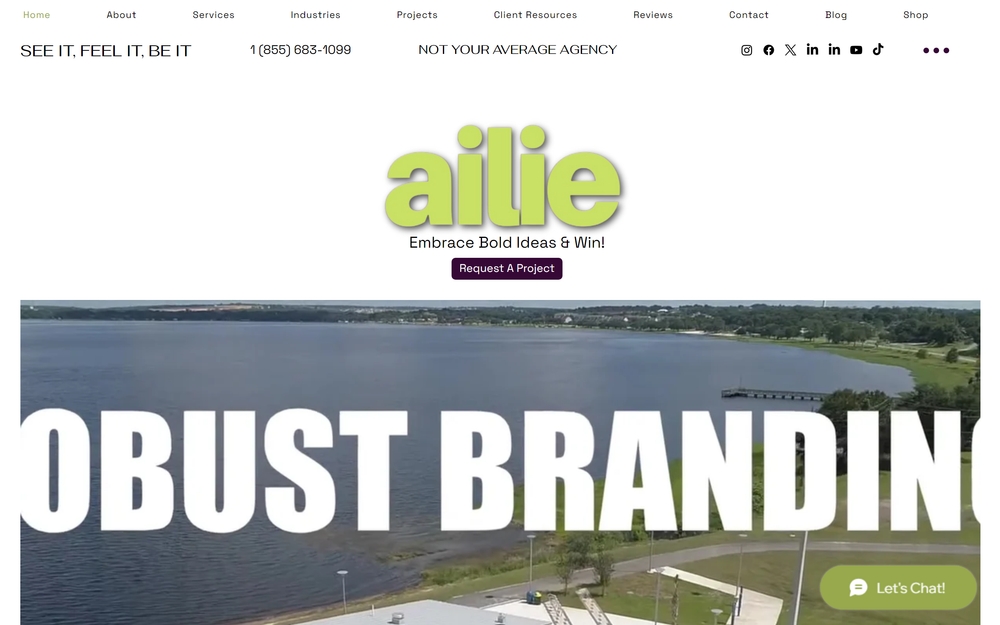 img of B2B Digital Marketing Agency - Ailie Inc